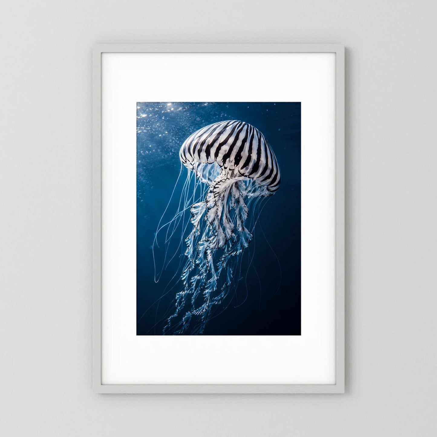 Poster mit Qualle im Blau, weiß gerahmt, Hochformat.