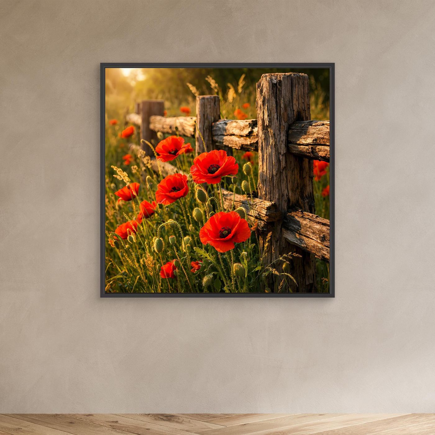 Leinwandbild mit roten Mohnblumen und Zaun im Garten, schwarzer Rahmen