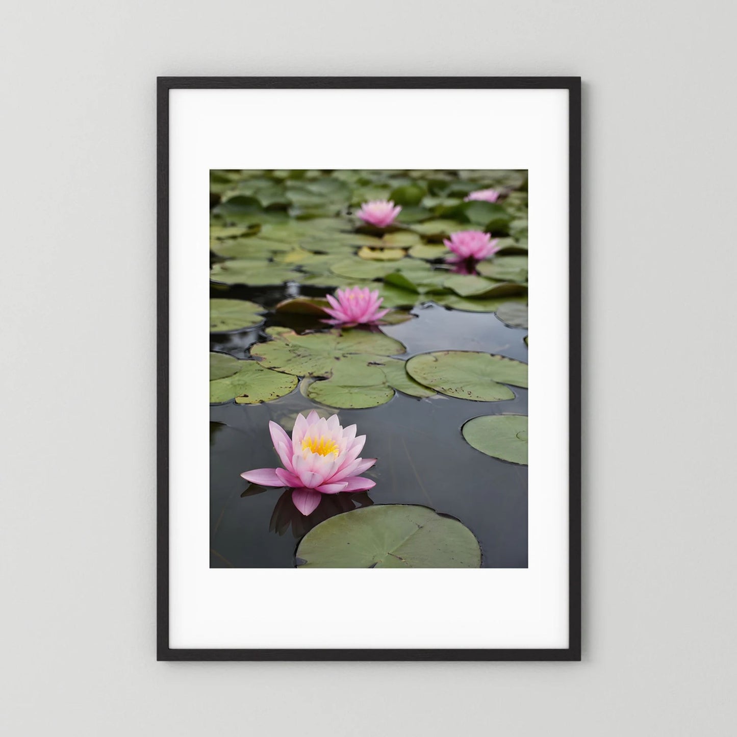 Kunstposter mit Seerosen im Teich, schwarzer Rahmen mit weißem Rand