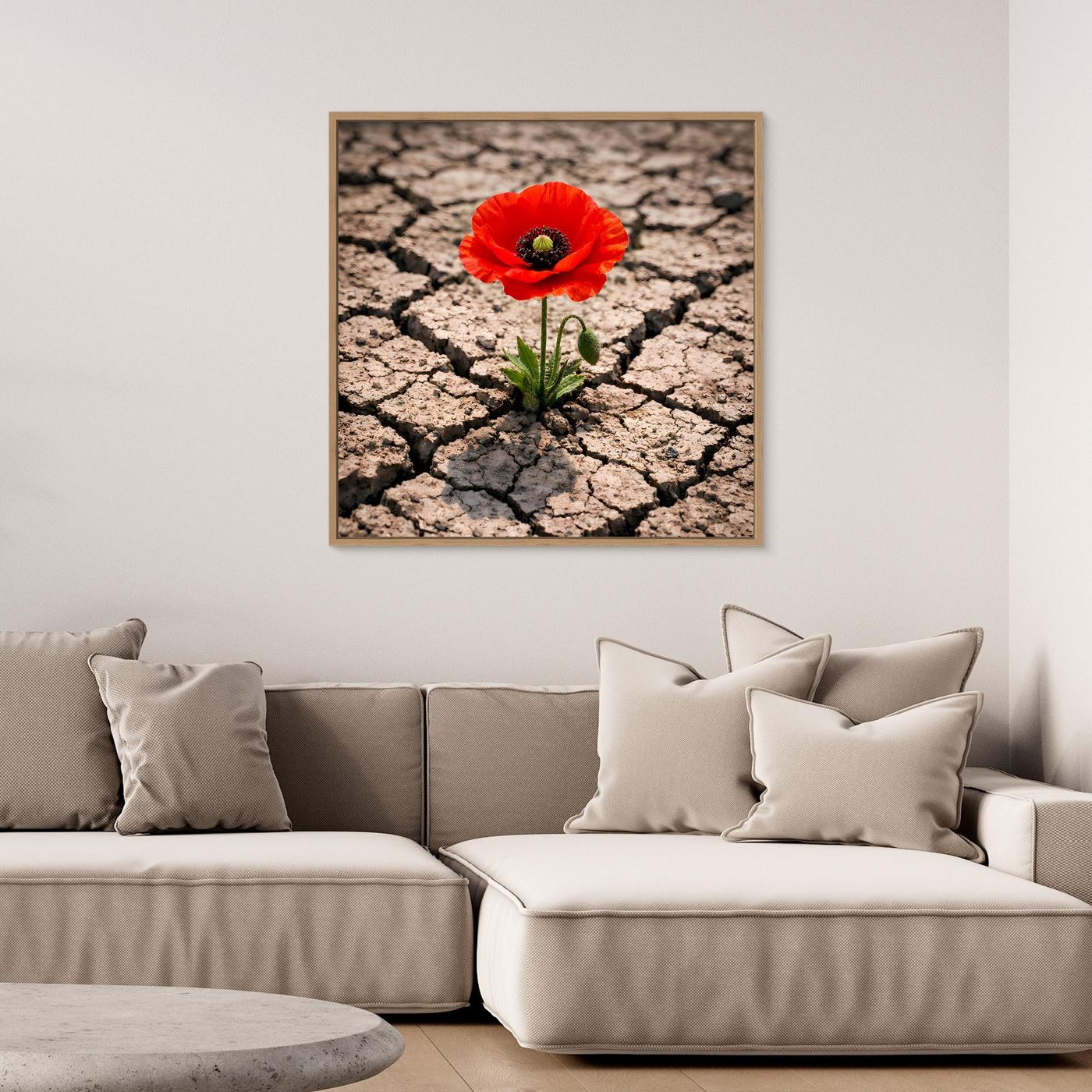Leinwandbild mit roter Mohnblume auf rissigem Wüstenboden, brauner Holzrahmen