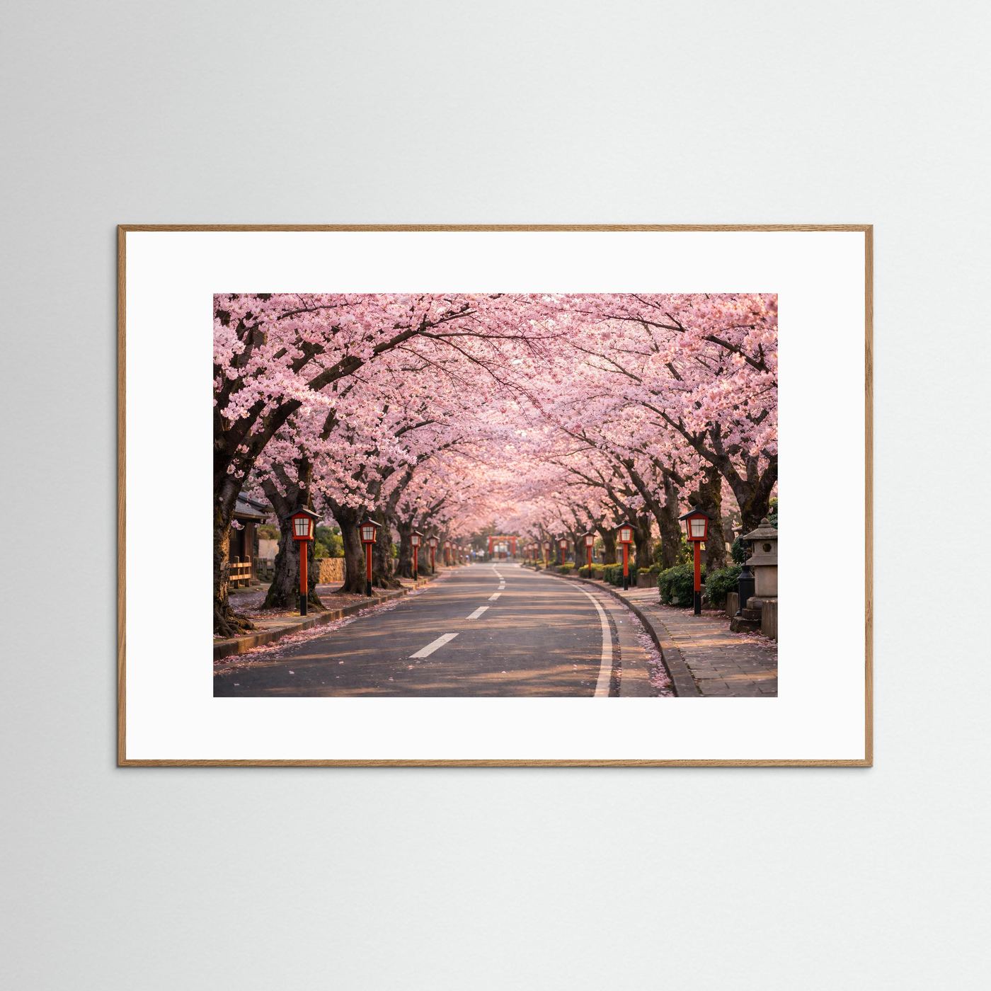 Braunes Poster mit Kirschblütenallee, gebogene Straße und rosa Blüten