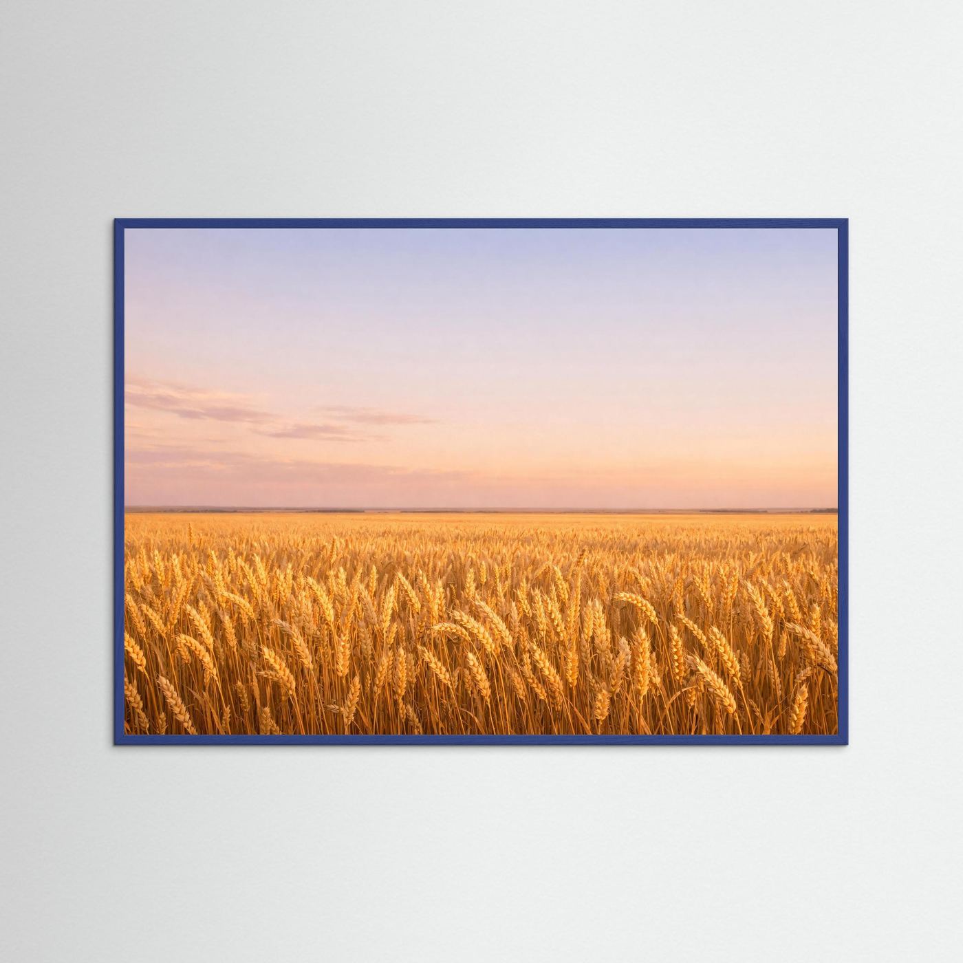 Wandbild: goldene Weizenähren bei Sonnenuntergang, blauer Holzrahmen