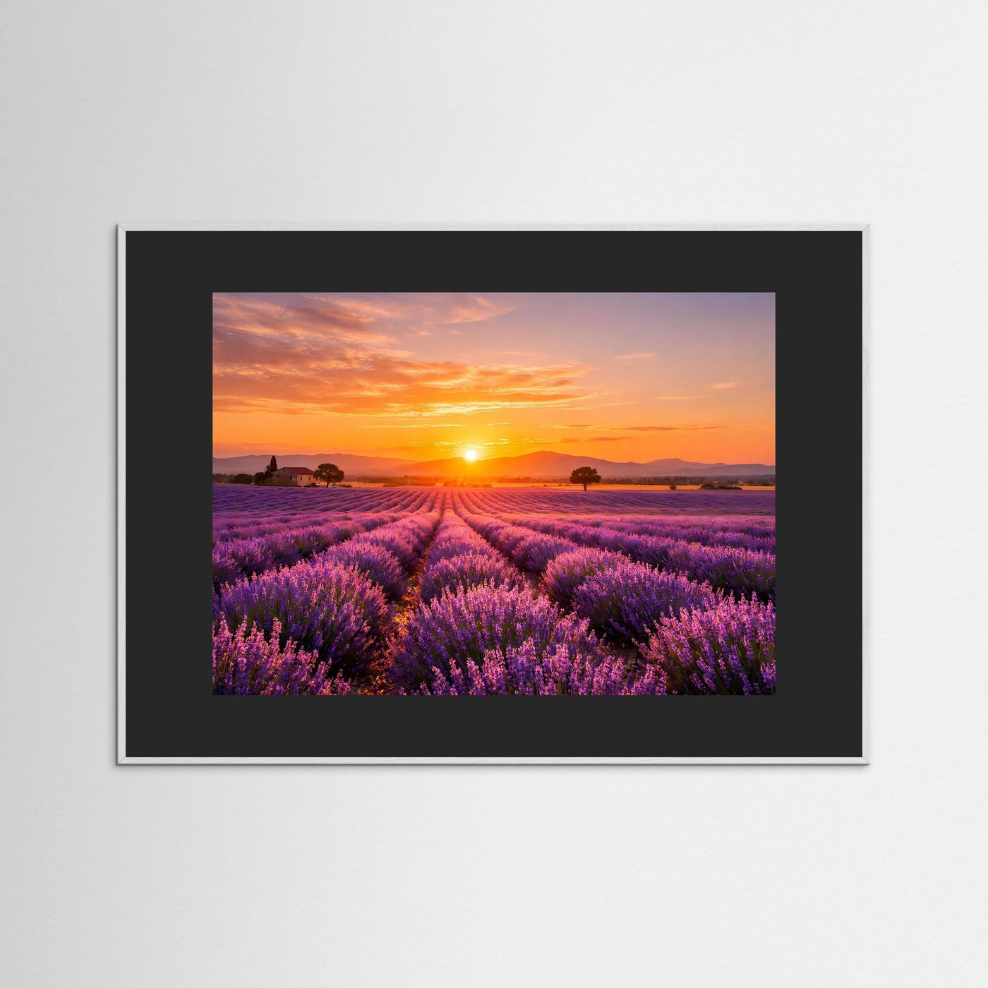 Poster mit Lavendelfeld im Sonnenuntergang, schwarzer Rahmen