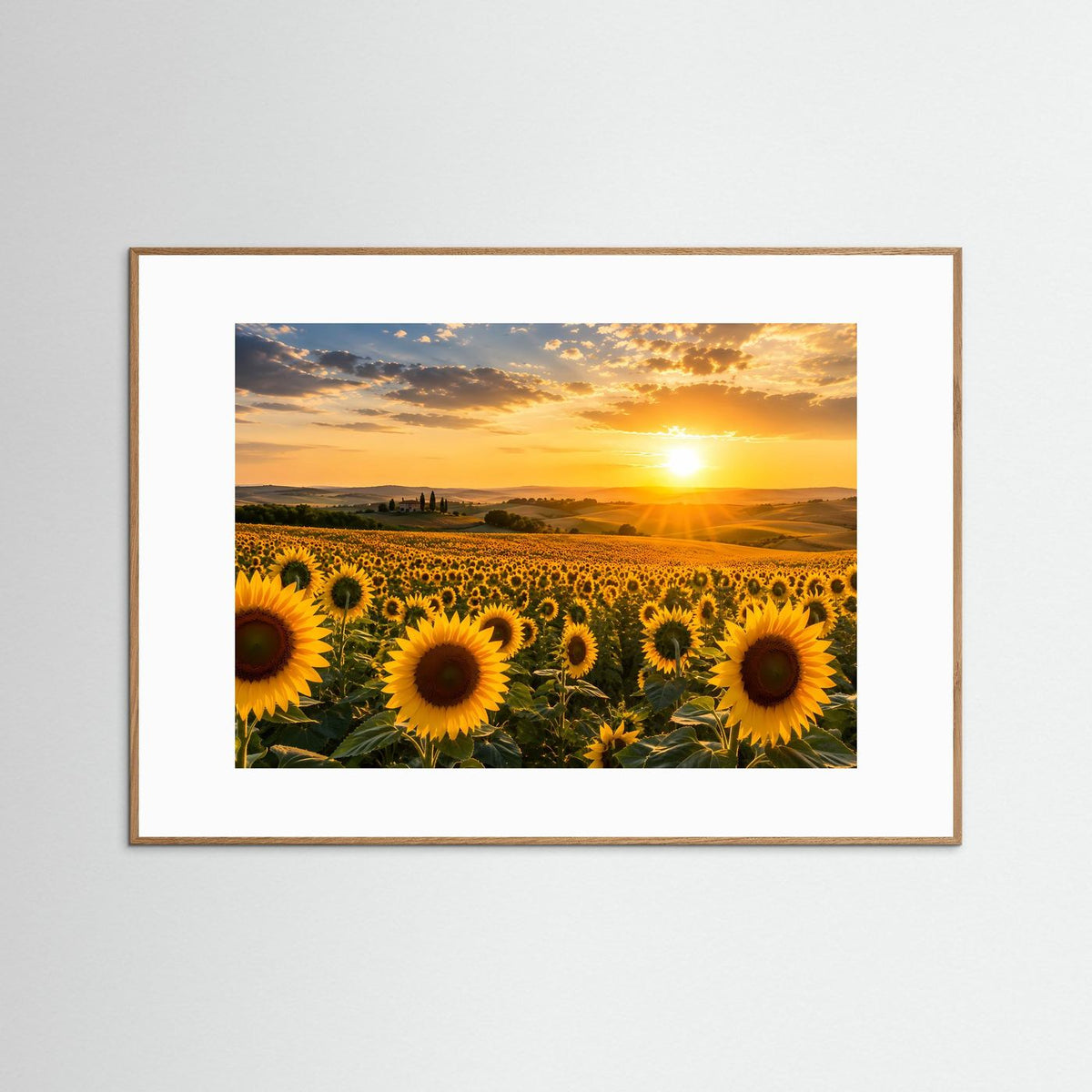 Sonnenblumen-Poster Querformat: Sonnenuntergang im Sonnenblumenfeld, dunkelbrauner Rahmen