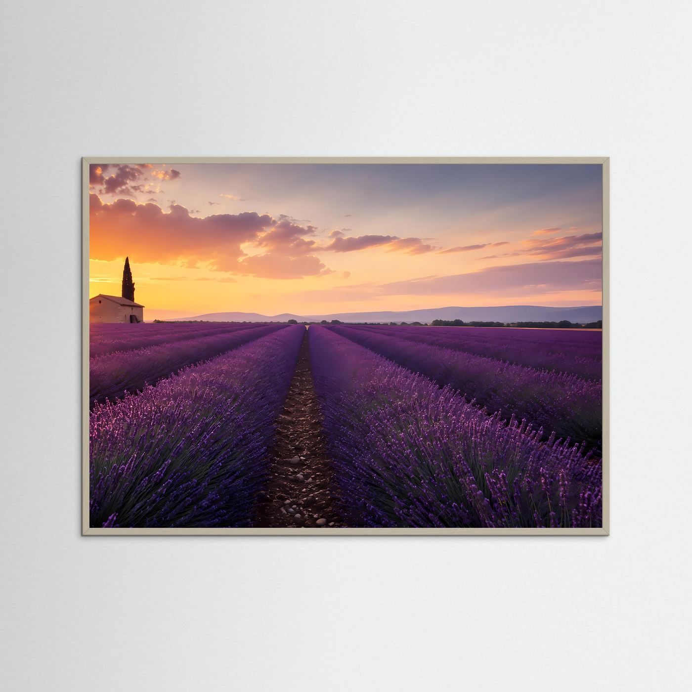 Lavendelfeld im Sonnenuntergang | Provence Landschaft in Lila & Gold