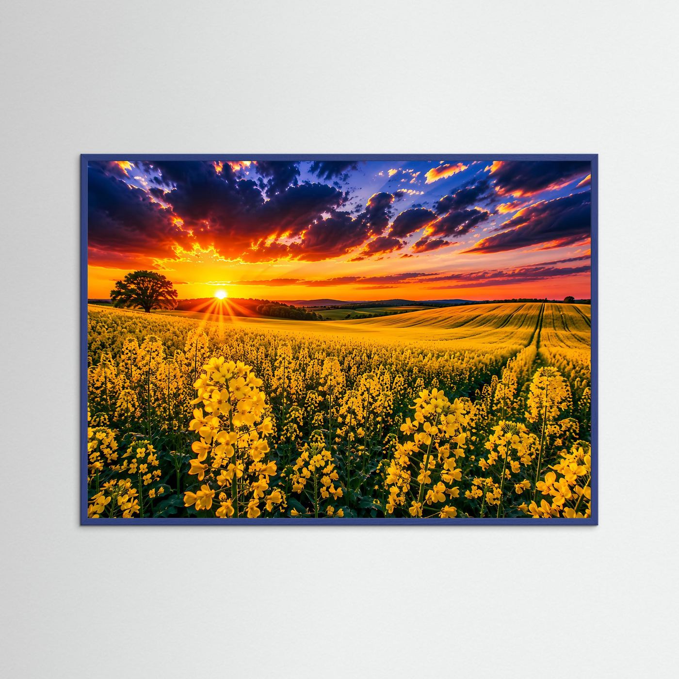 Rapsfeld Wandbild im Sonnenuntergang | Landschaft Poster mit gelben Blumen