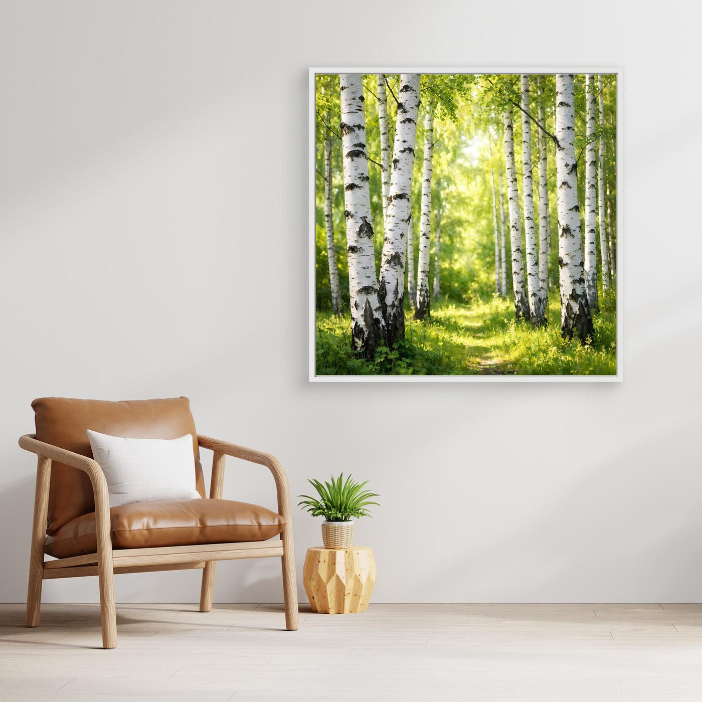 Leinwandbild Birkenwald im Sonnenlicht, quadratisch, mit weißem Rand