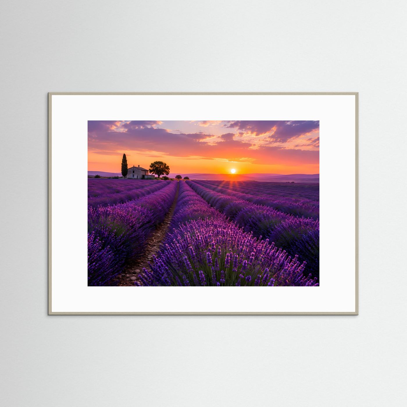 Lavendelfeld Poster Querformat | Provence Landschaft im Sonnenuntergang