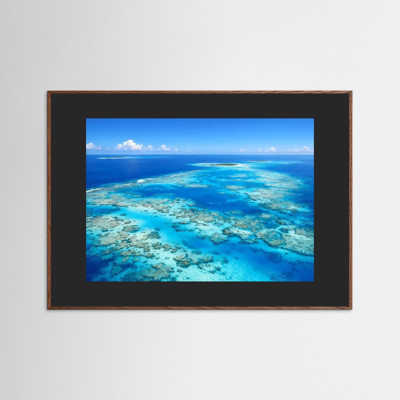 Korallenriff-Poster im braunen Rahmen mit Meerblick.
