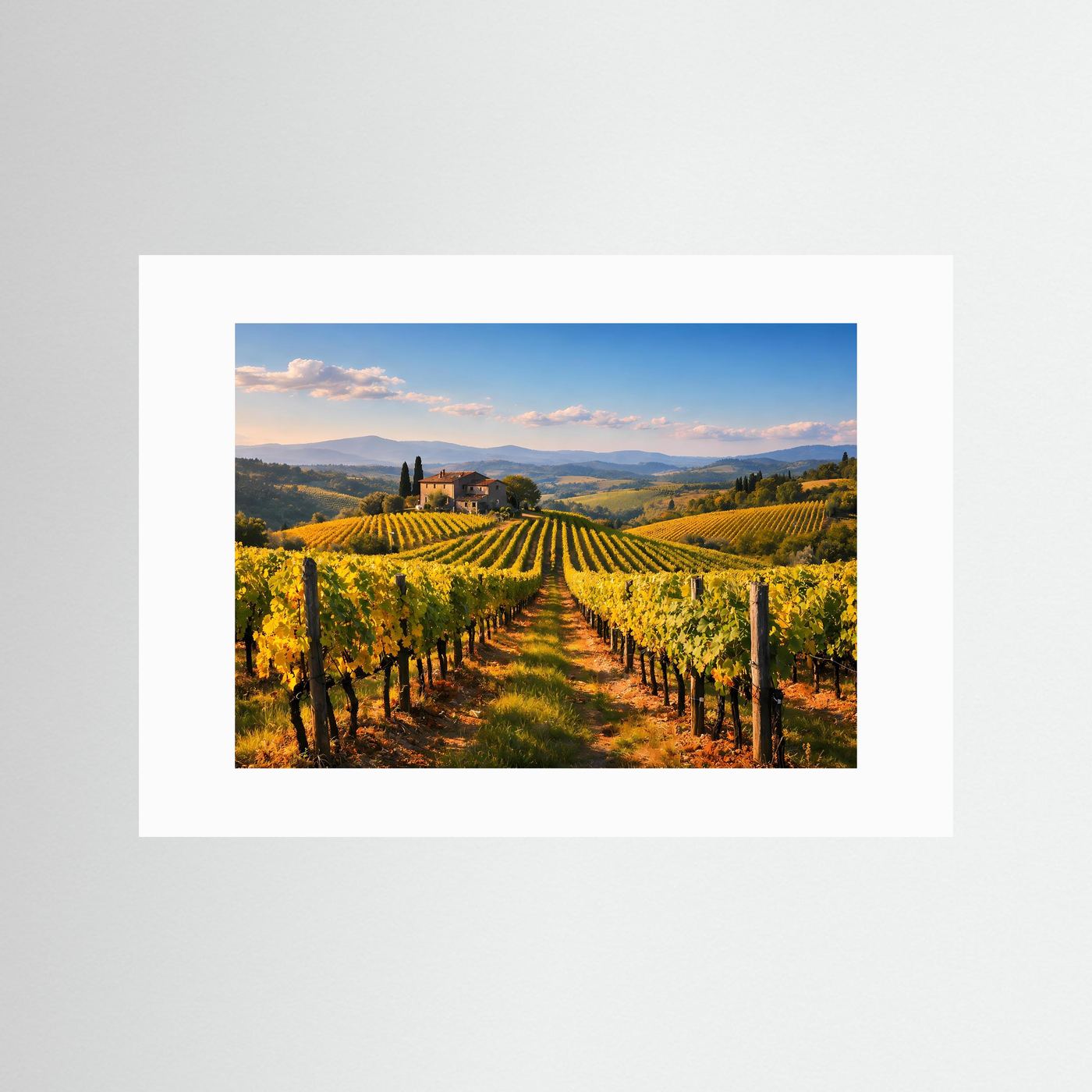 Querformatiges Weinberg-Panorama-Poster mit weißem Rahmen