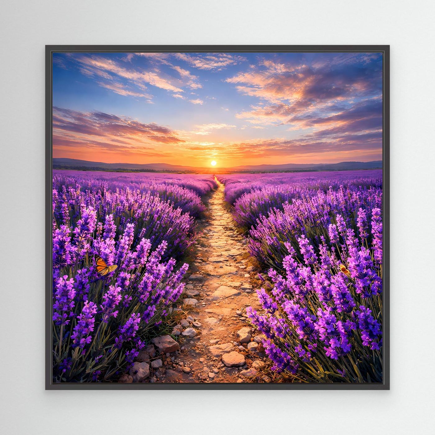 Leinwandbild Lavendelfeld mit Kiesweg und Sonnenuntergang, schwarzer Rahmen