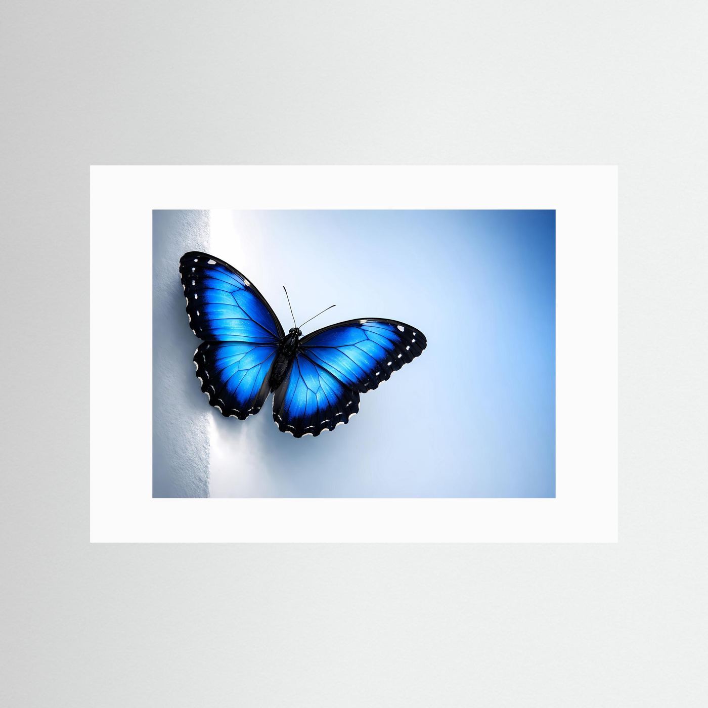 Schmetterlingsposter querformat, blaues Flügelmotiv im weißen Passepartout