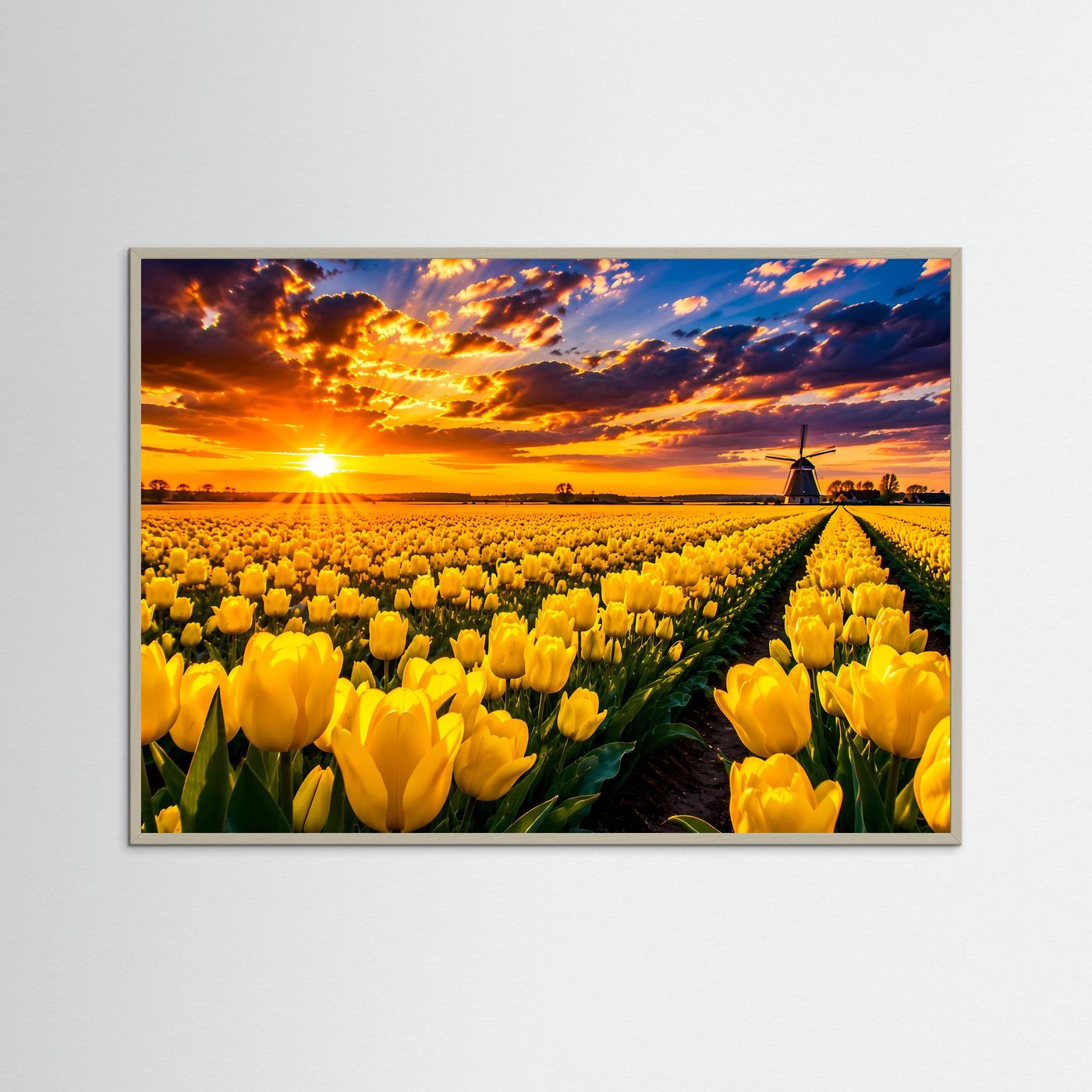 Gelbes Tulpenfeld bei Sonnenuntergang | Windmühle & Blumenlandschaft