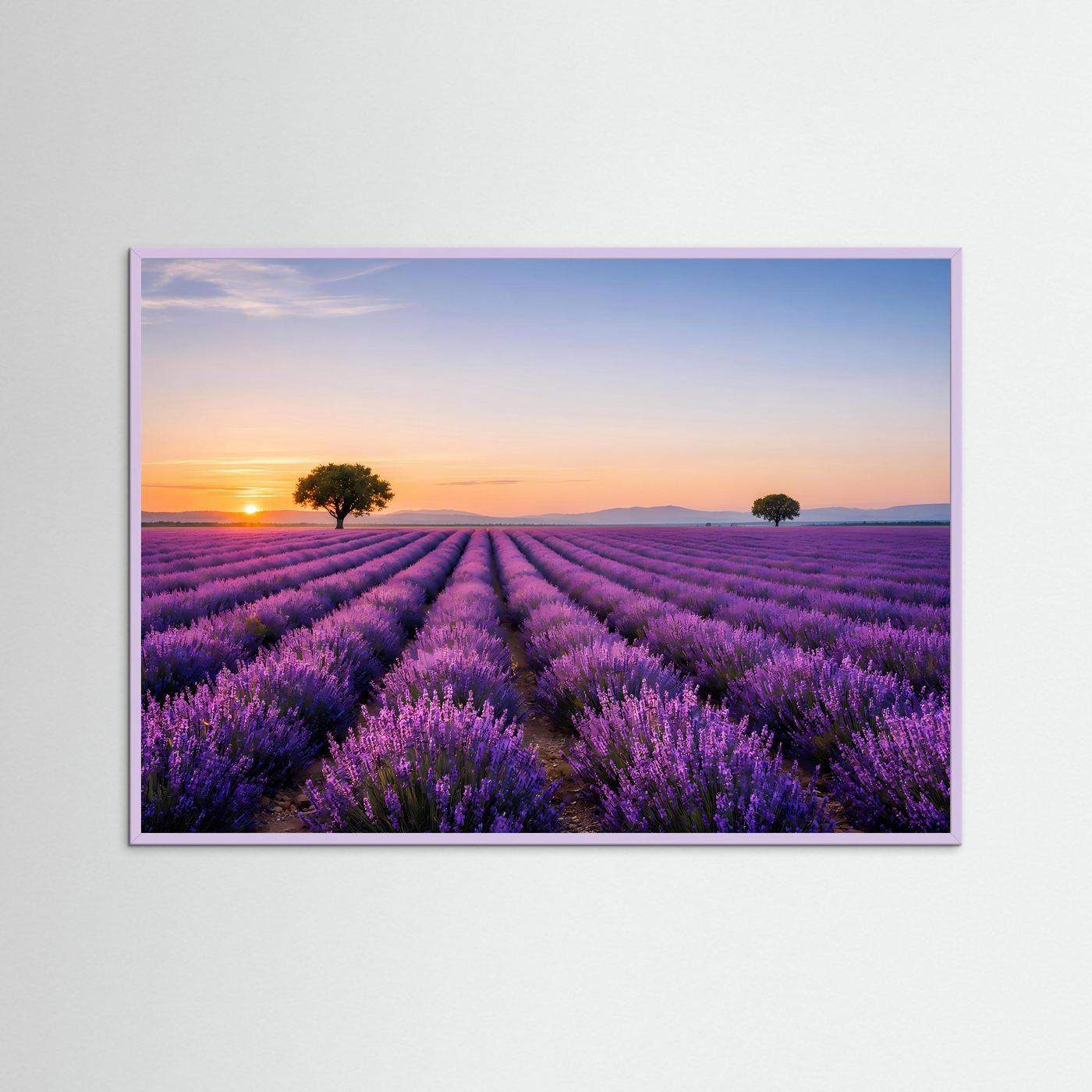 Lavendel-Panorama-Poster im Querformat mit blauem Rand, lila Feld bei Sonnenuntergang