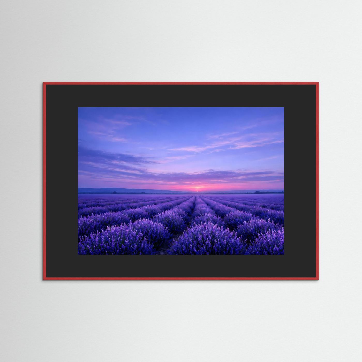Poster Lavendelfeld im Sonnenuntergang | Majestätisches Violettes Wandbild