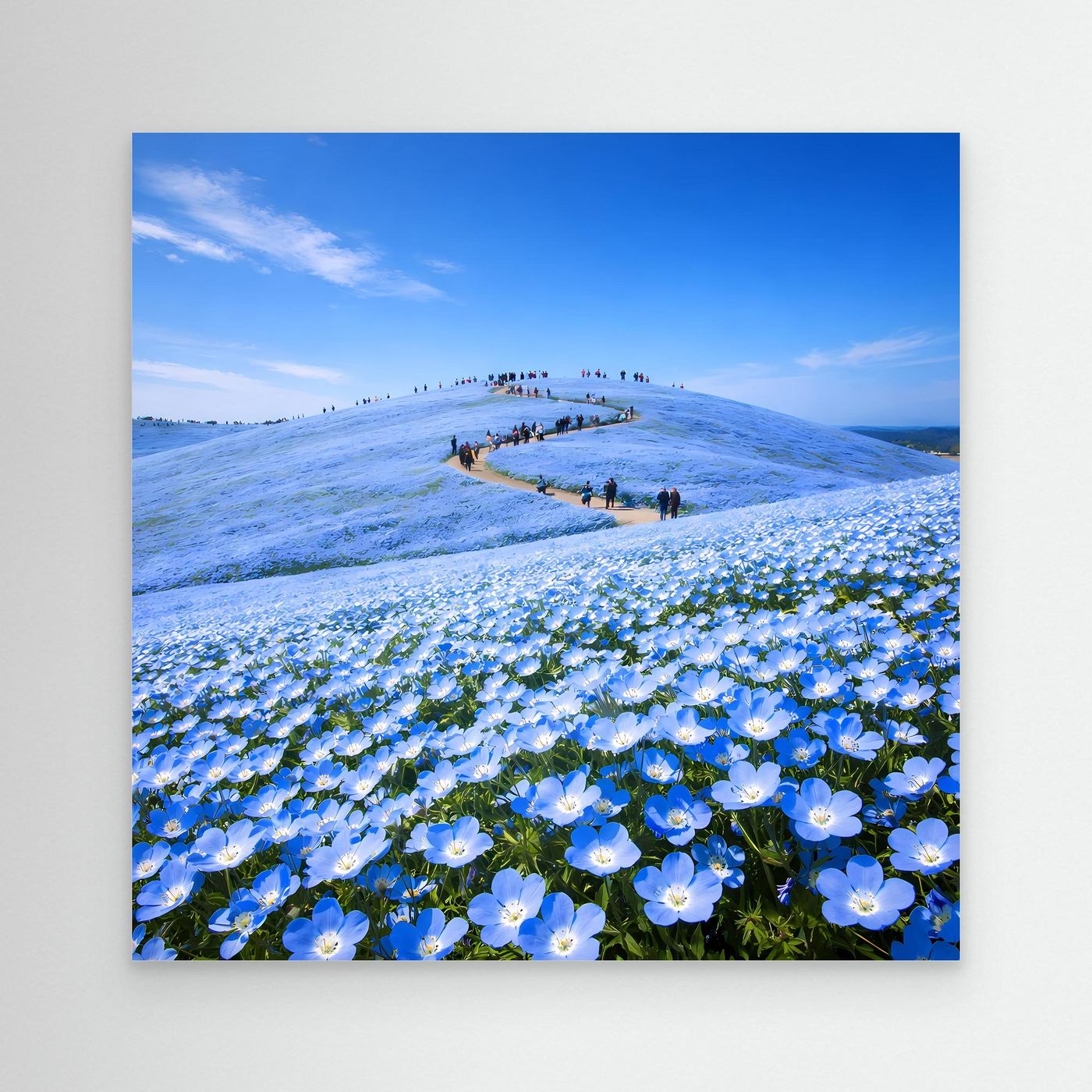 Leinwandbild mit blauem Blütenmeer und Hügellandschaft, ohne sichtbaren Rahmen