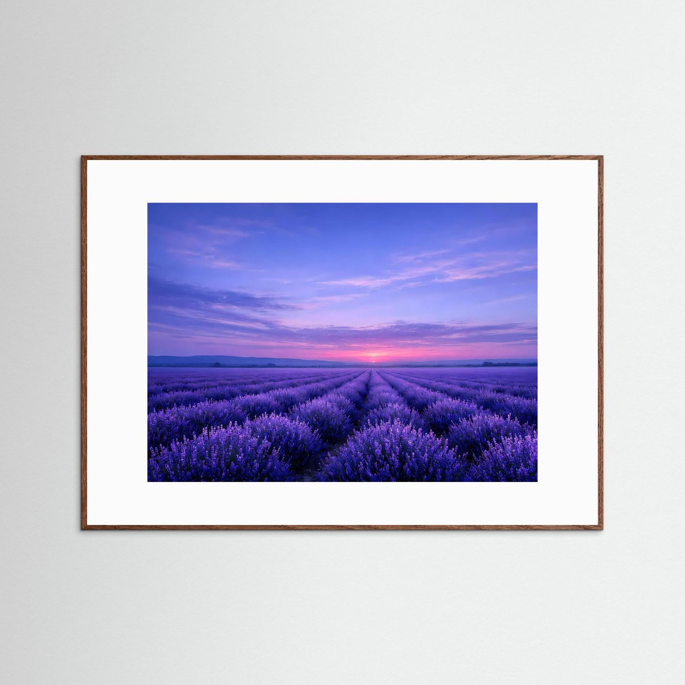 Poster Lavendelfeld im Sonnenuntergang | Majestätisches Violettes Wandbild