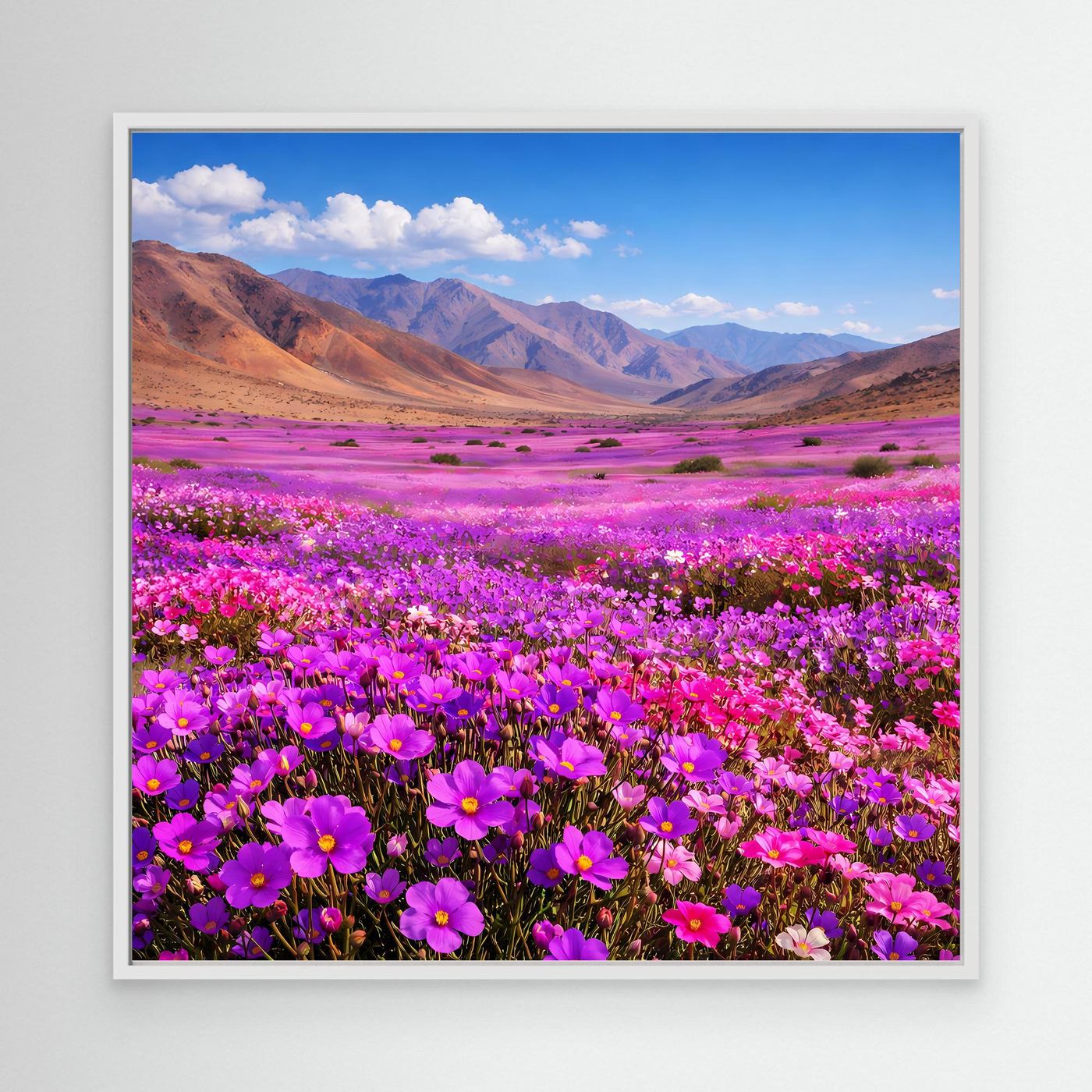 Leinwandbild mit lila Blumenwiese und Berglandschaft im weißen Rahmen