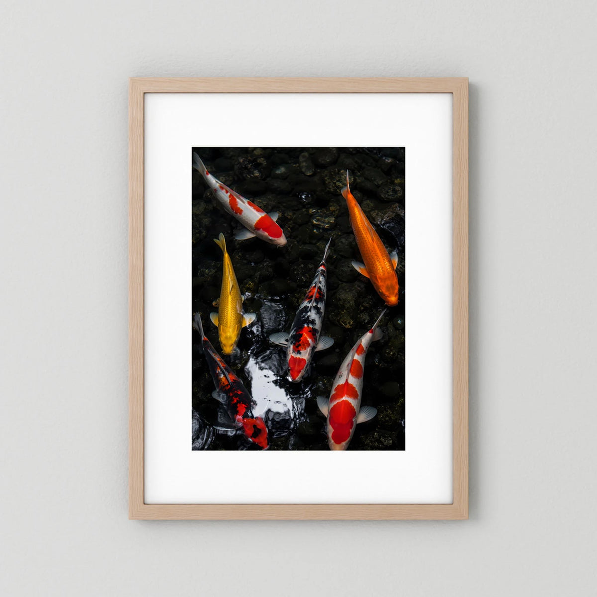 Poster mit Koi-Fischen im dunklen Teich, helles Holzrahmen-Design mit weißem Rand