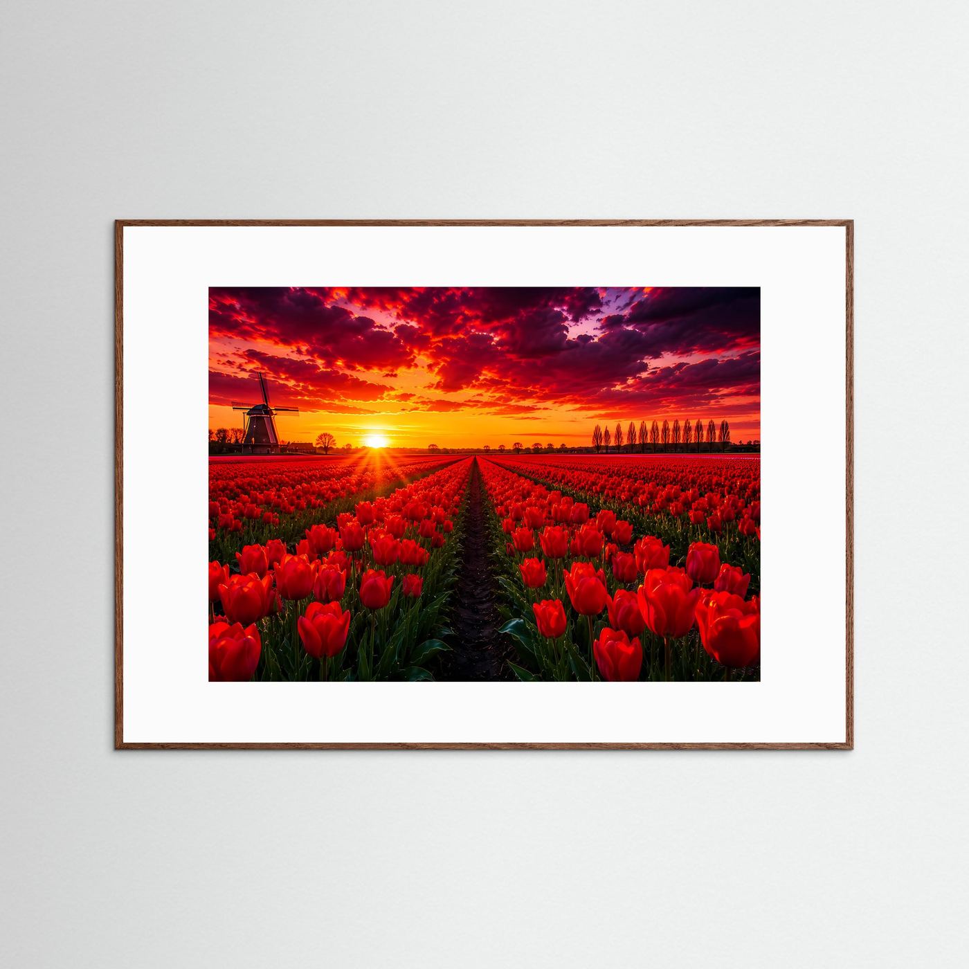 Poster Tulpenfeld mit Windmühle, rote Blumen und Sonnenuntergang, Querformat, brauner Holzrahmen
