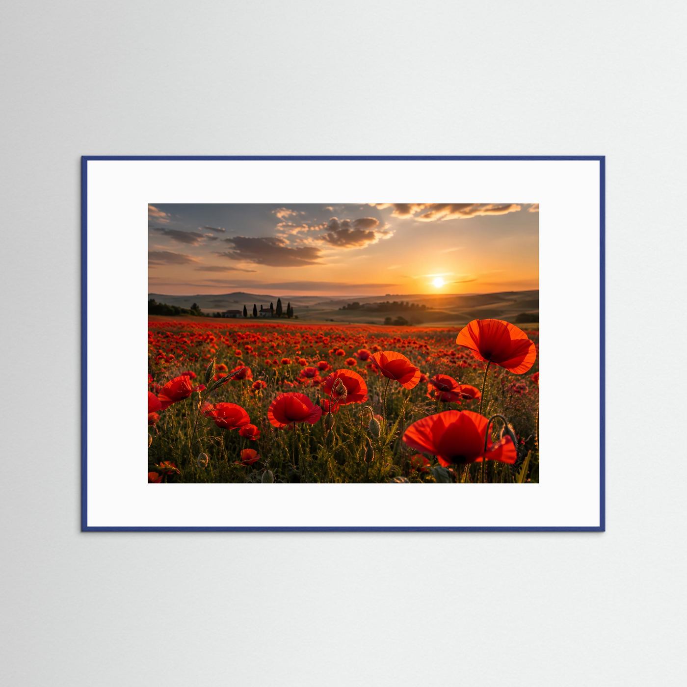 Rotes Mohnblumenfeld im Sonnenuntergang | Romantische Landschaft
