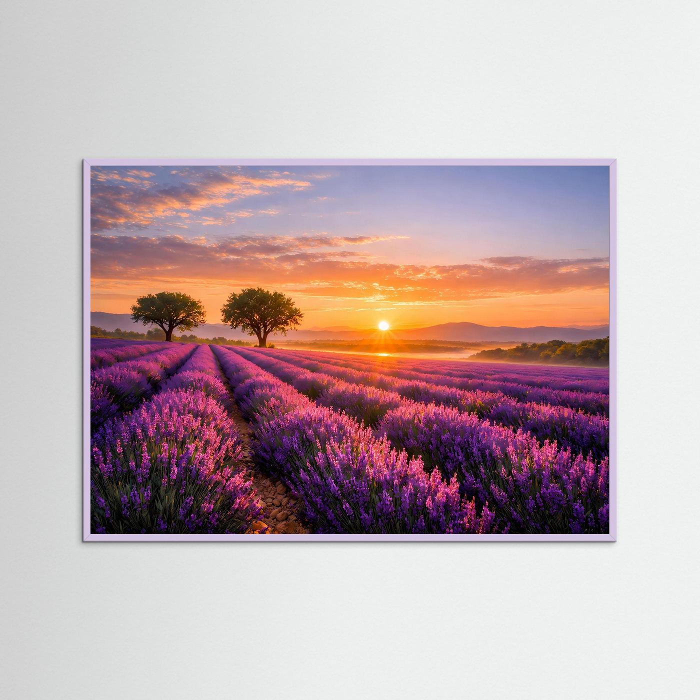 Wandbild mit Lavendelfeld im Sonnenuntergang, violett gerahmt