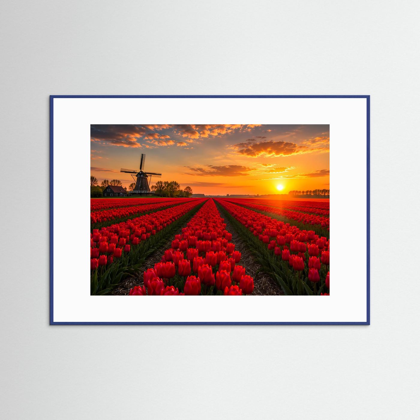 Rotes Tulpenfeld Holland Poster Querformat | Windmühle & Sonnenuntergang