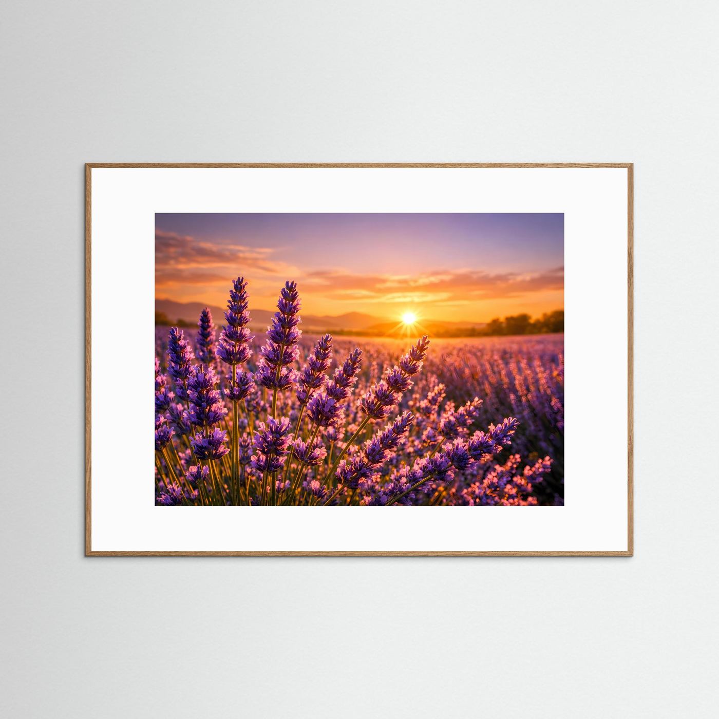 Lavendelzauber im Abendlicht | Provence & Sonnenuntergang Panorama Poster Querformat
