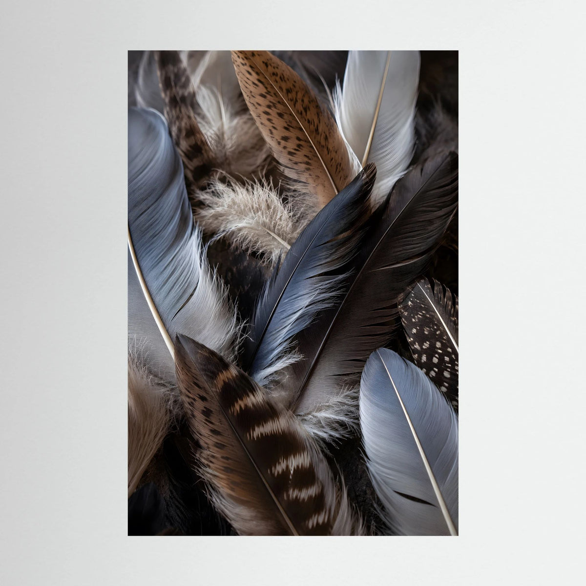 Kunstposter mit Nahaufnahme von Federn in Blau, Braun und Weiß