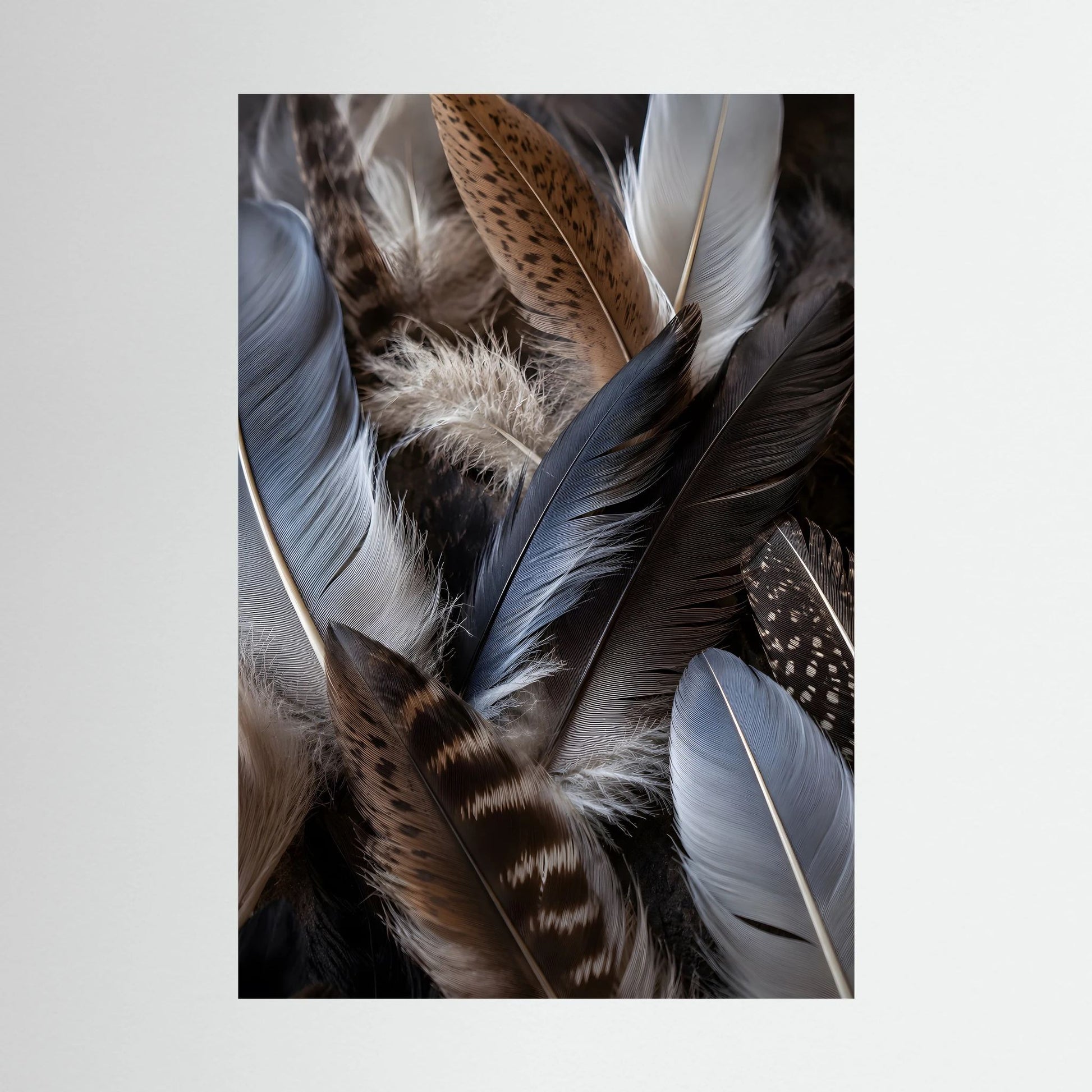 Kunstposter mit Nahaufnahme von Federn in Blau, Braun und Weiß