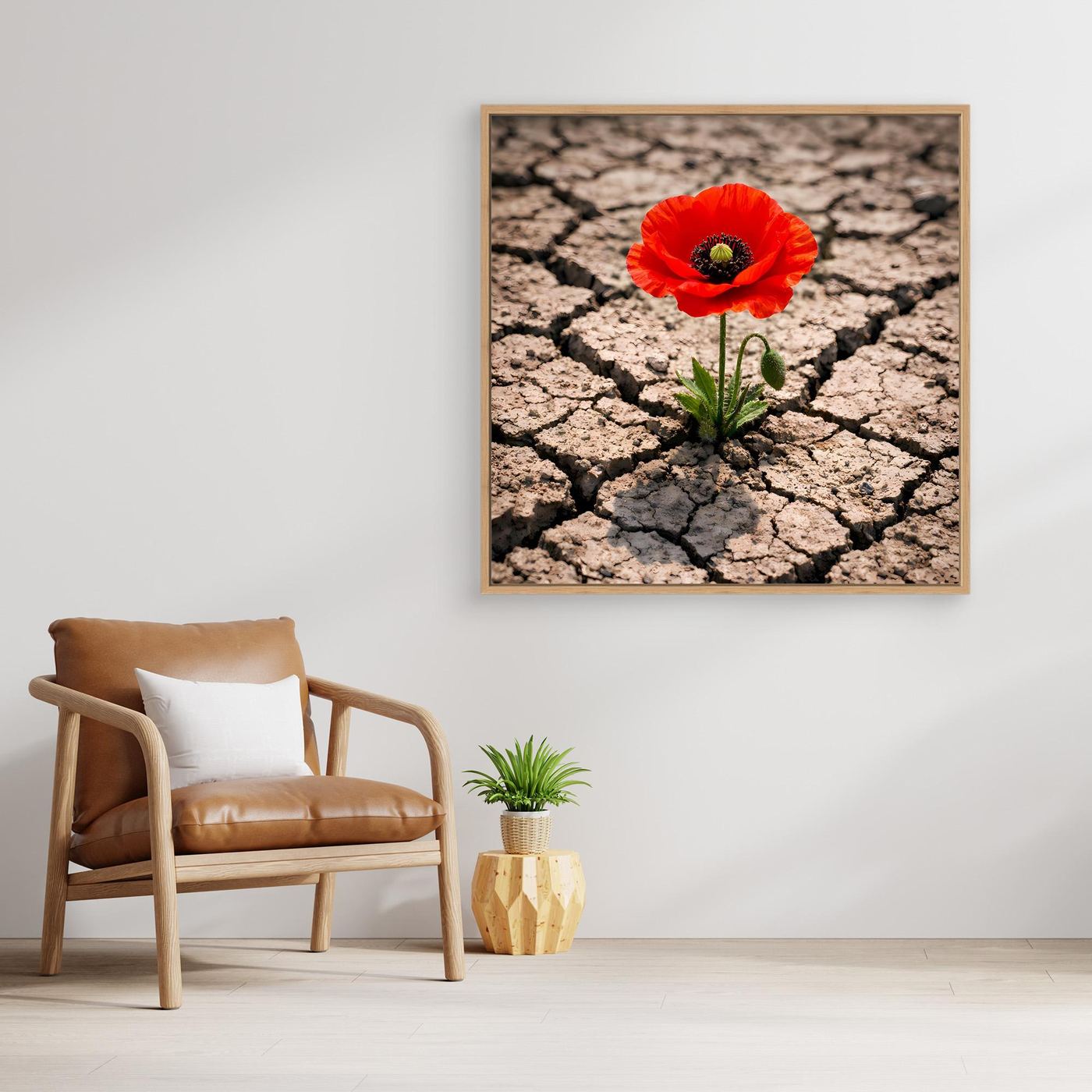 Leinwandbild mit roter Mohnblume auf rissigem Wüstenboden, brauner Holzrahmen