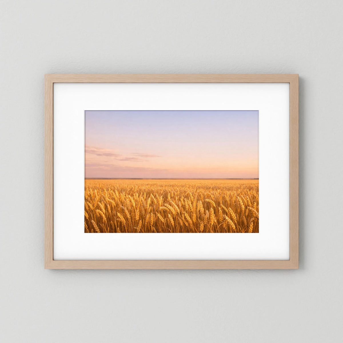 Wandbild im Holzrahmen: goldenes Kornfeld bei Sonnenuntergang, Querformat