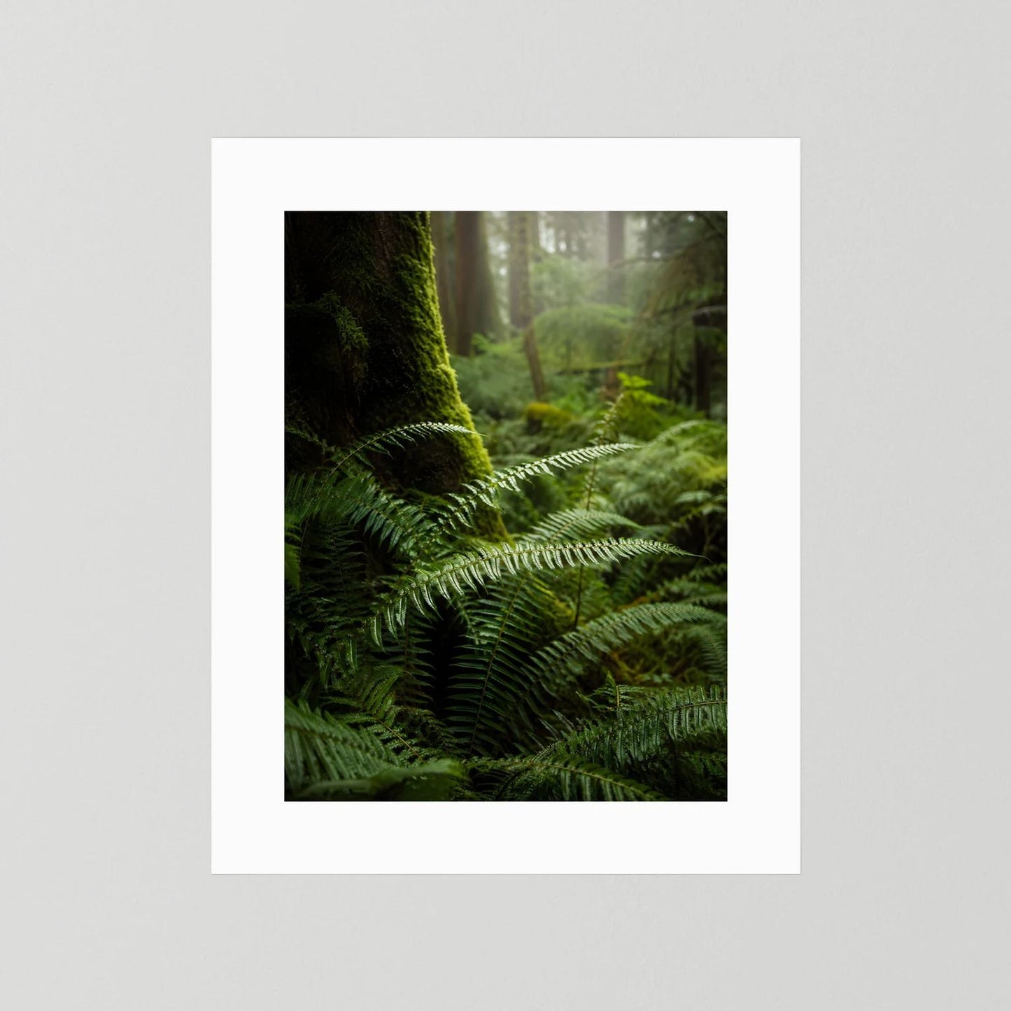 Poster mit grünem Farn im Mooswald, weißes Passepartout, Hochformat