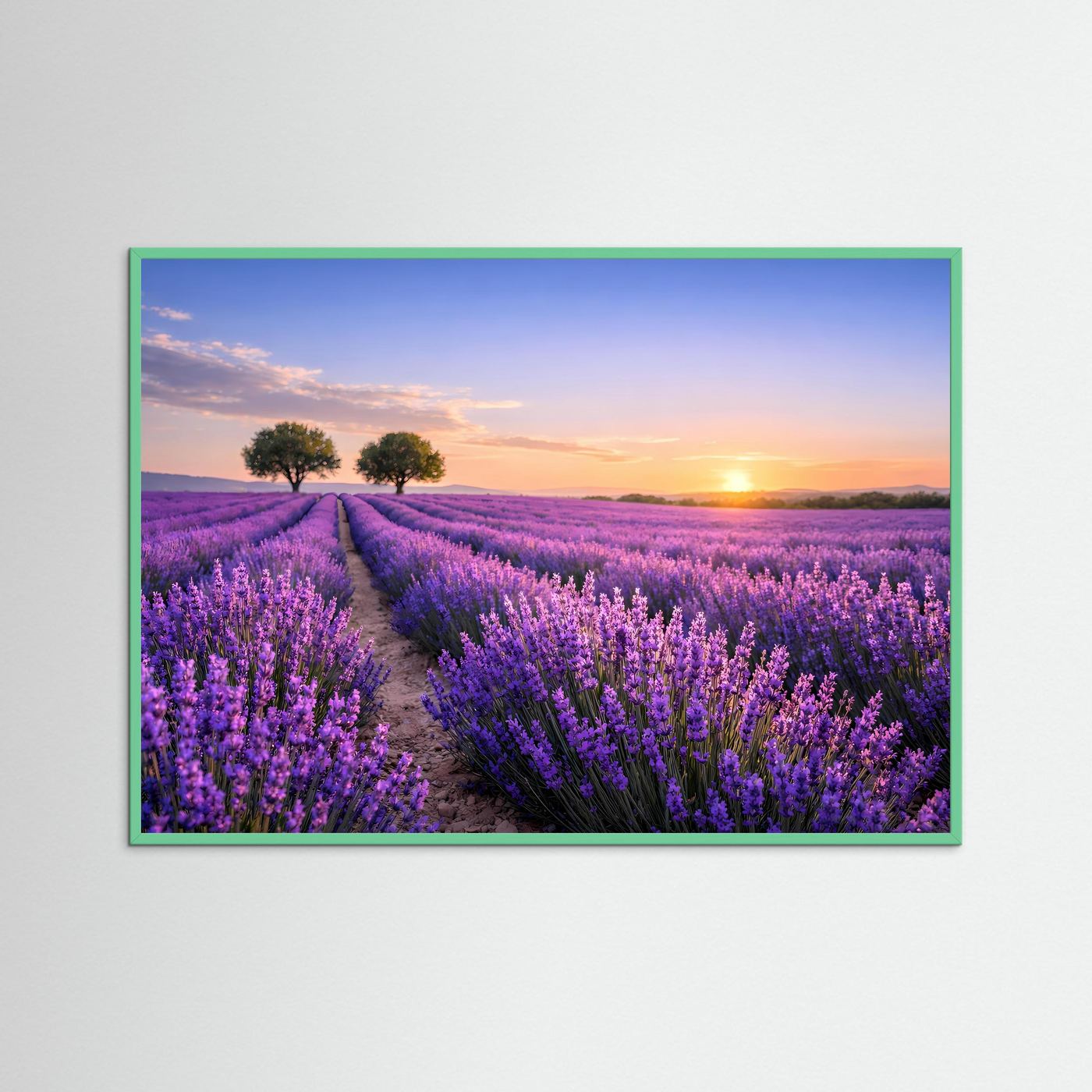 Poster im Querformat mit Lavendelfeld bei Sonnenaufgang, türkisfarbener Rahmen