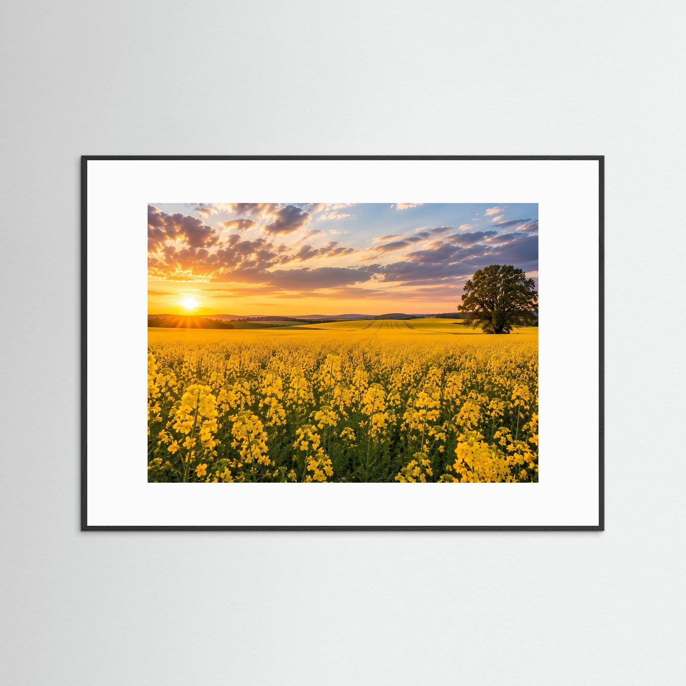 Gerahmtes Poster mit weißem Passepartout im Querformat: gelbes Rapsfeld, Baum und Sonnenuntergang.