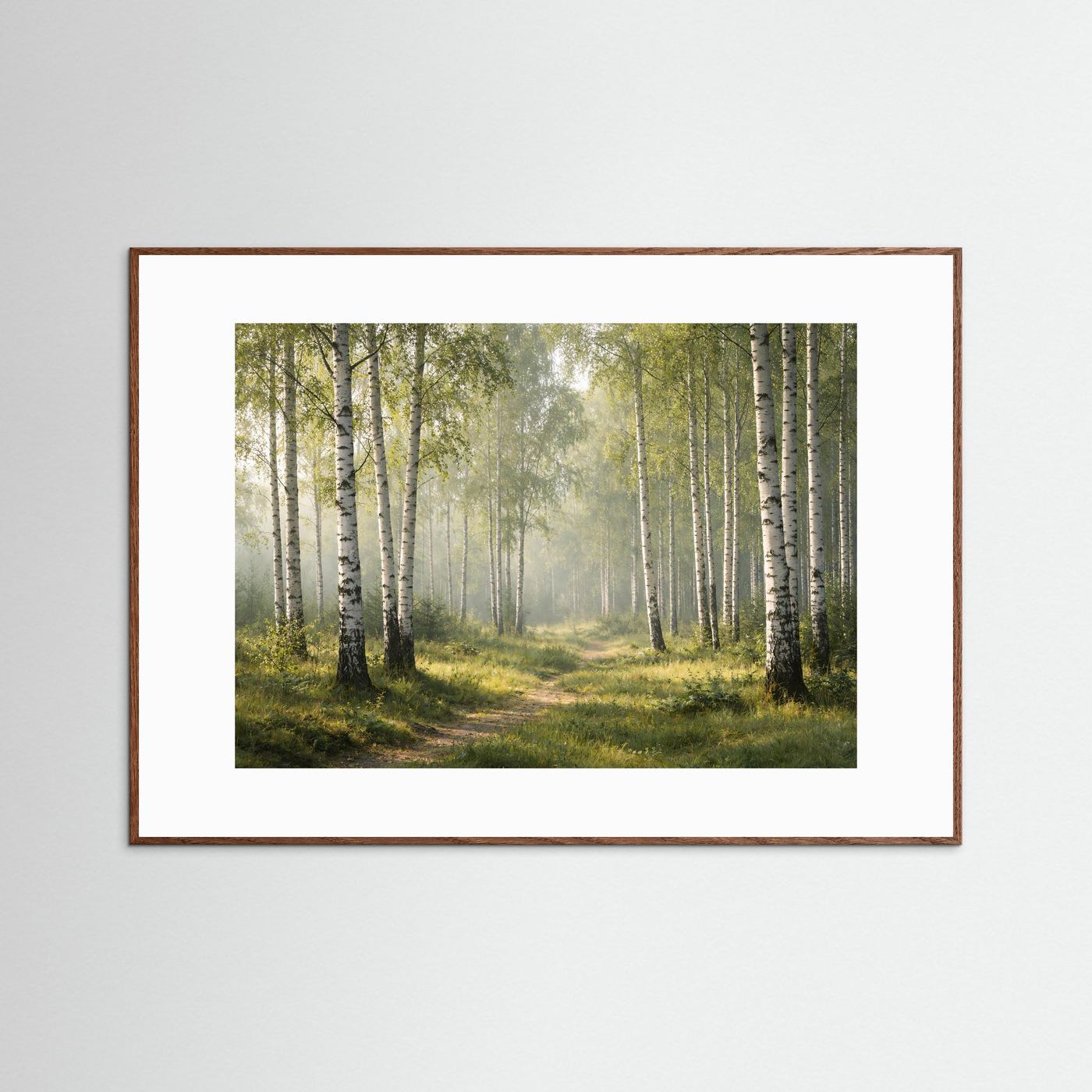 Lichtdurchfluteter Birkenhain im Morgenlicht | Panorama Wald & Natur Poster Querformat