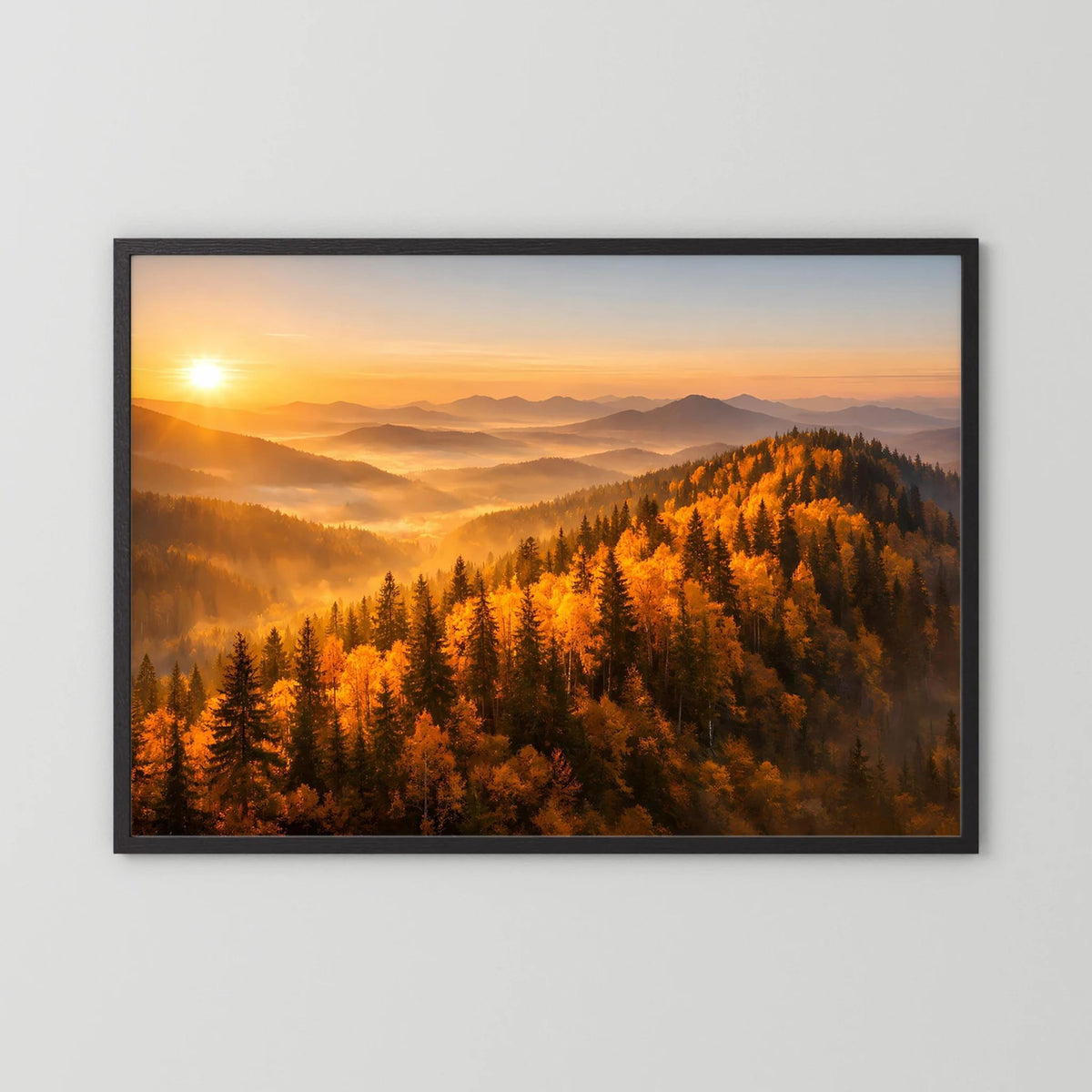 Querformat-Wandbild im schwarzen Rahmen mit Herbstwald und Sonnenaufgang