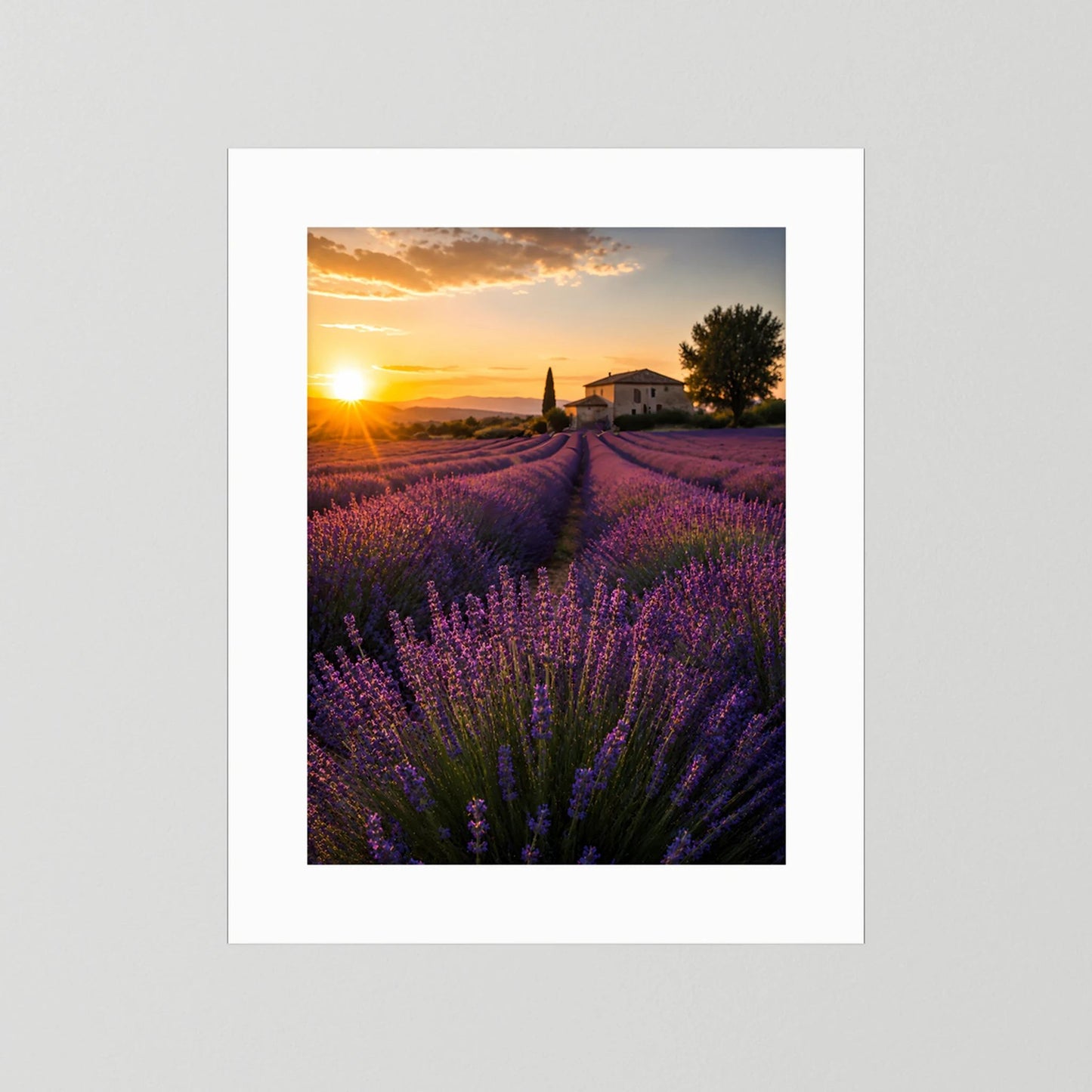Kunstposter im Hochformat mit weißem Passepartout, Lavendelfeld bei Sonnenuntergang