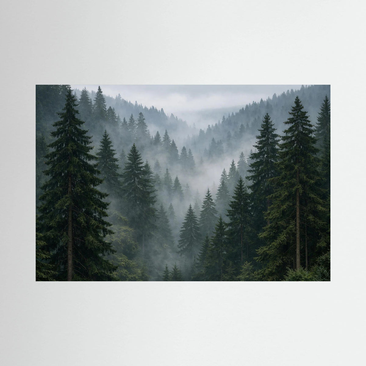 Querformatiges Wandbild mit Nadelwald und Nebel, dunkle Tannen vor grauem Morgenhimmel