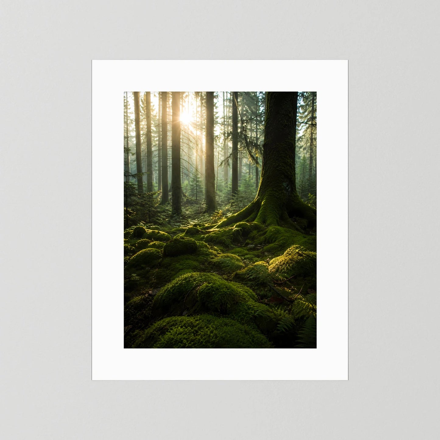 Hochformat-Poster im weißem Rahmen mit Passepartout: grüner Mooswald und Lichtstrahlen