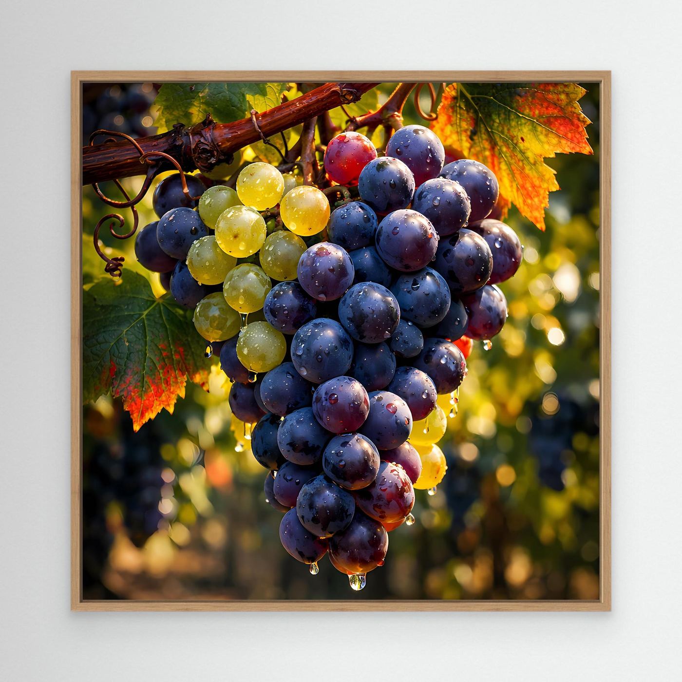 Wandbild mit Weinreben im Eiche-Rahmen: blaue und gelbe Weintrauben, Herbstlaub