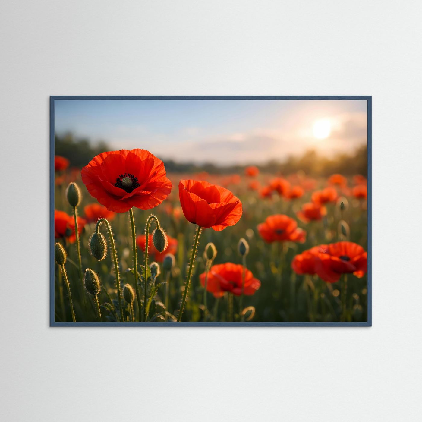 Mohnblumen-Poster mit roten Blüten bei Sonnenuntergang, dunkelgrauer Rahmen