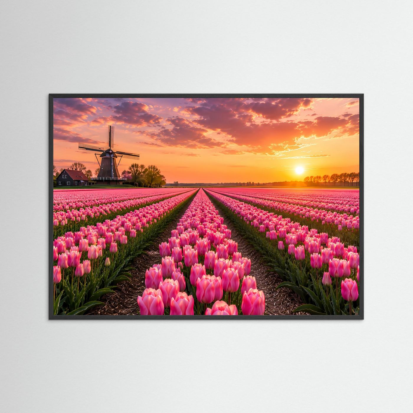 Tulpenfeld Poster Querformat | Rosa Tulpen mit Windmühle im Sonnenuntergang