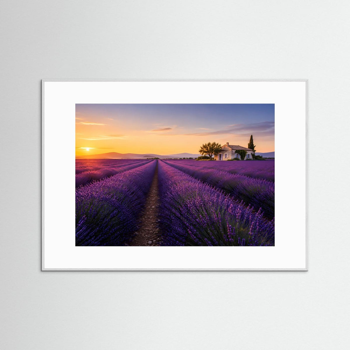 Querformat-Poster mit Lavendelfeld in Lila und Sonnenuntergang, im grauen Holzrahmen