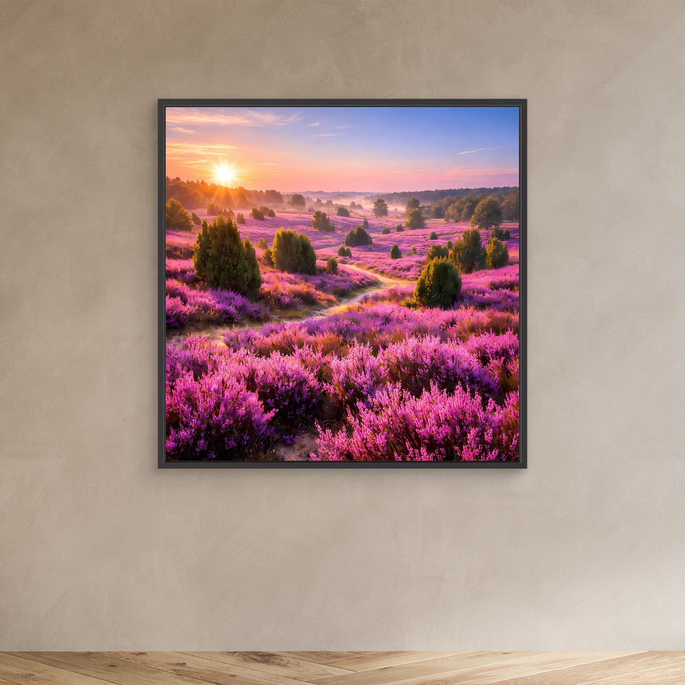 Leinwandbild Heidekrautfeld mit Sonnenaufgang, schwarzer Rahmen