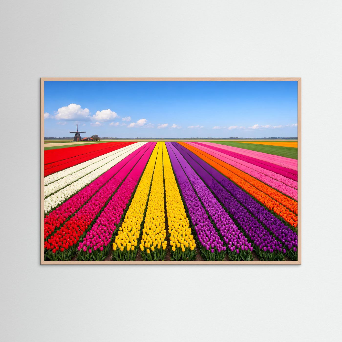 Panorama-Tulpenfeld-Poster Querformat mit farbigen Blütenreihen und Windmühle, beige Holzrahmen