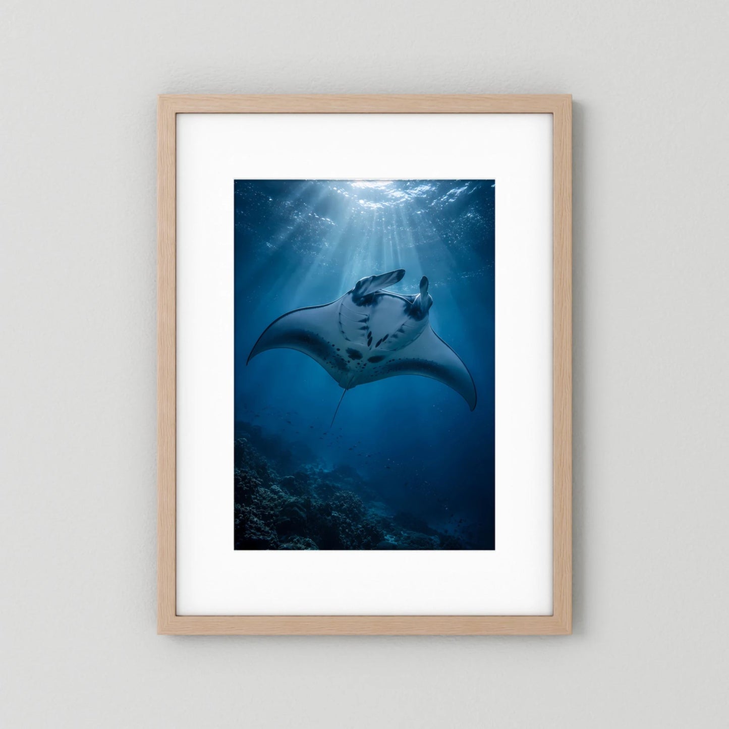 Hochformat-Poster mit Mantarochen im tiefblauen Ozean, Lichtstrahlen, Holzrahmen mit Passepartout