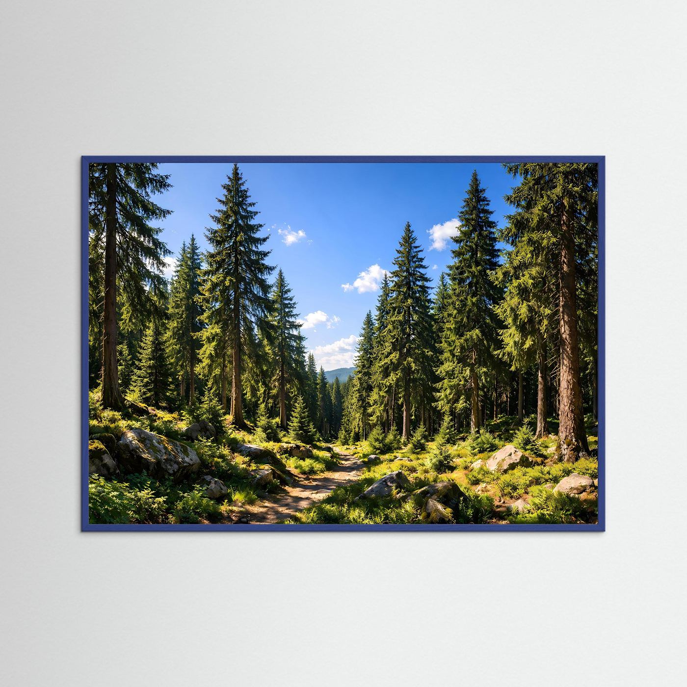 Sonniger Nadelwald im Sommer | Panorama Pfad & Natur Poster Querformat