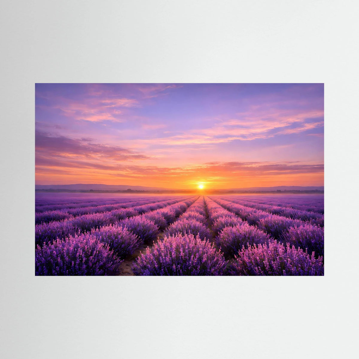 Wandbild im Querformat mit Lavendelfeldern und Sonnenuntergang, lila Blütenmeer