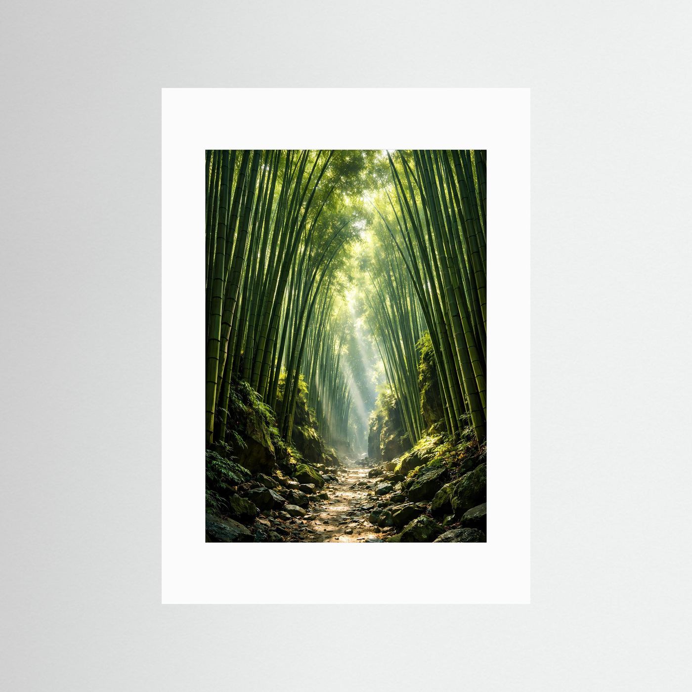 Bambuswald-Poster im Hochformat mit Sonnenstrahlen im weißen Passepartout